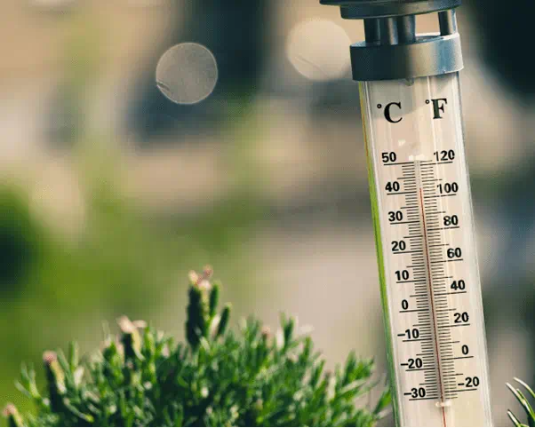 Mutfakta Ölçü Birimleri Nelerdir