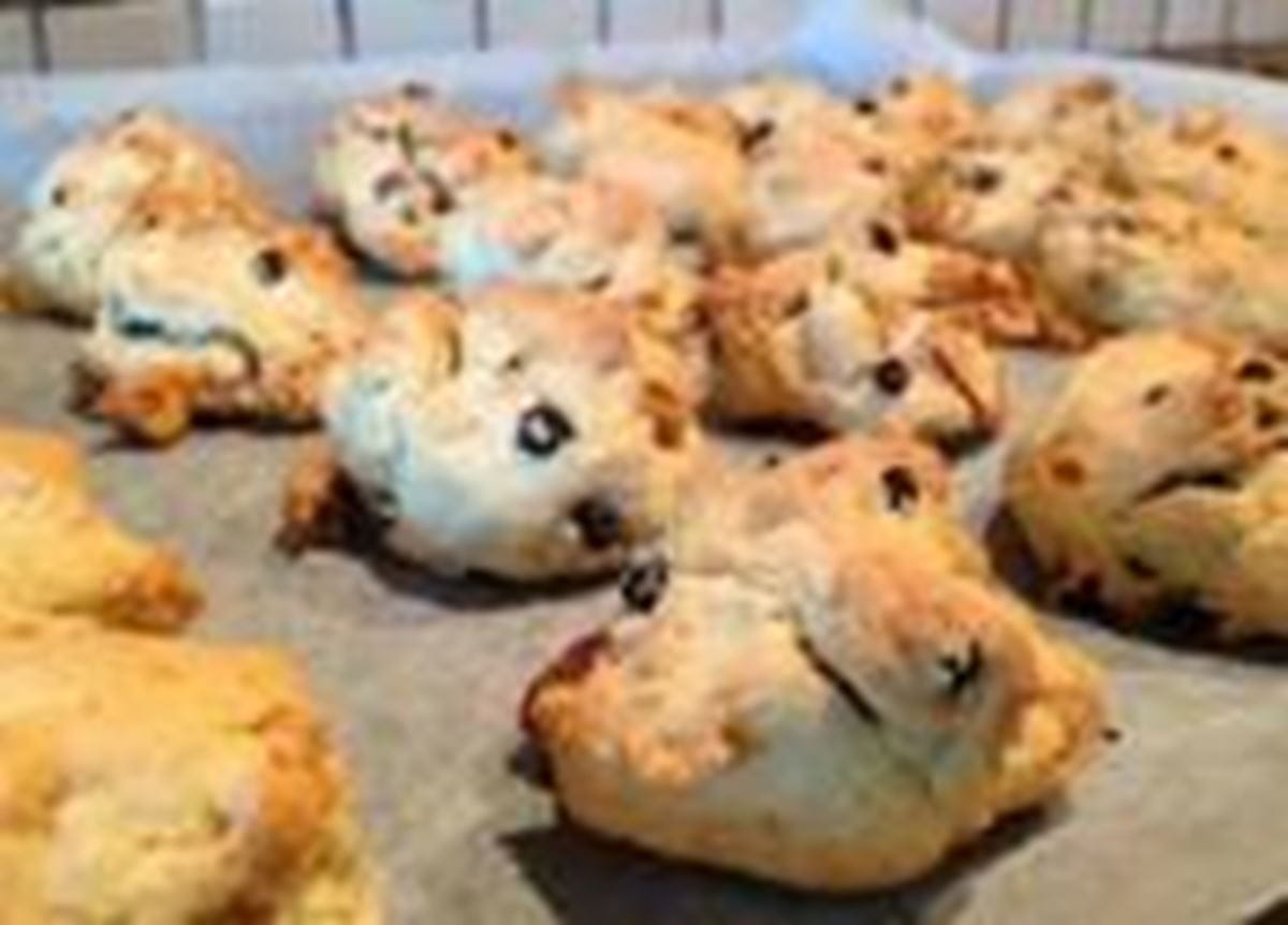 recipe image İncirli ve Üzümlü kurabiye Çanakları